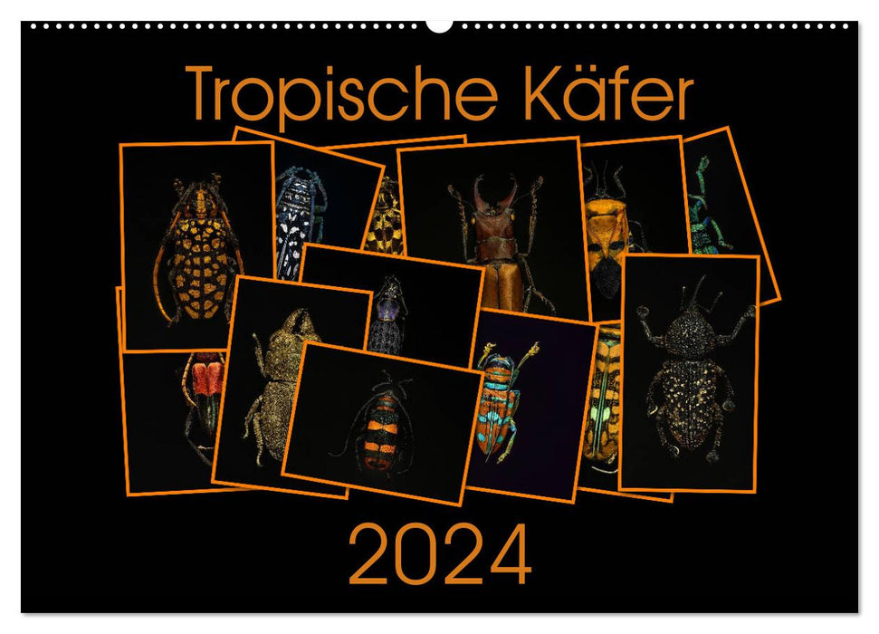 Coléoptères tropicaux (Calendrier mural CALVENDO 2024) 