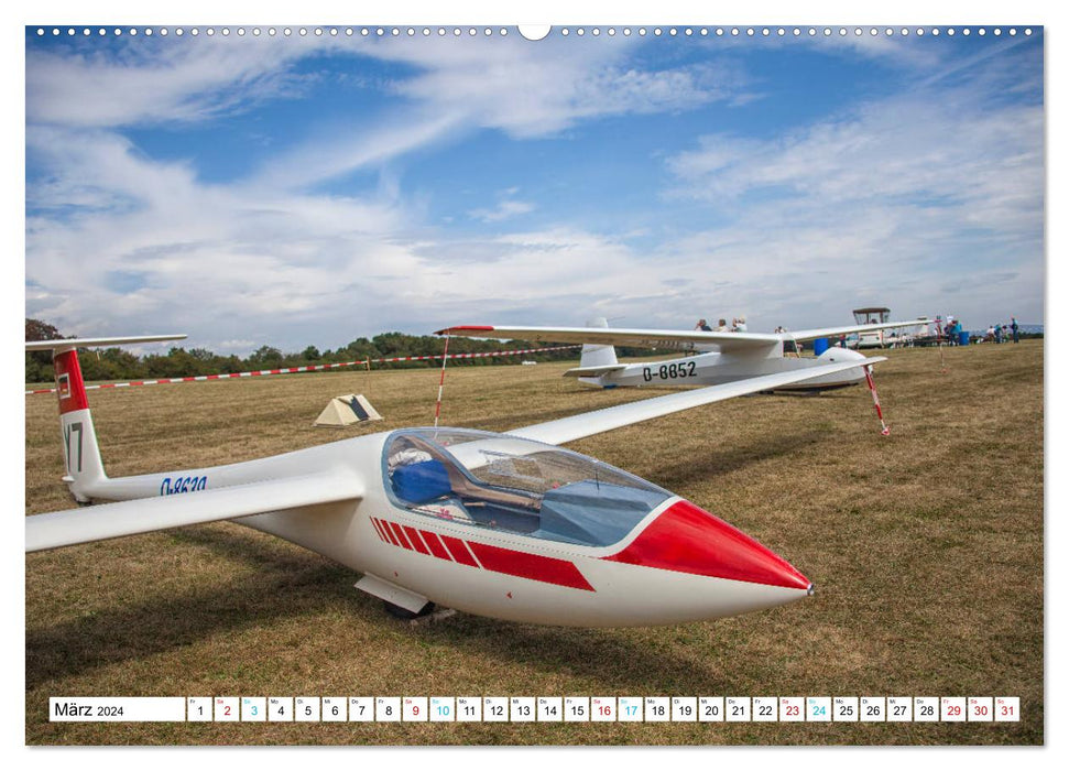 La diversité au Festival de l'Aviation (Calendrier mural CALVENDO 2024) 