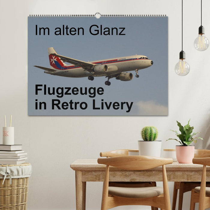 Dans leur ancienne gloire : des avions en livrée rétro (calendrier mural CALVENDO 2024) 