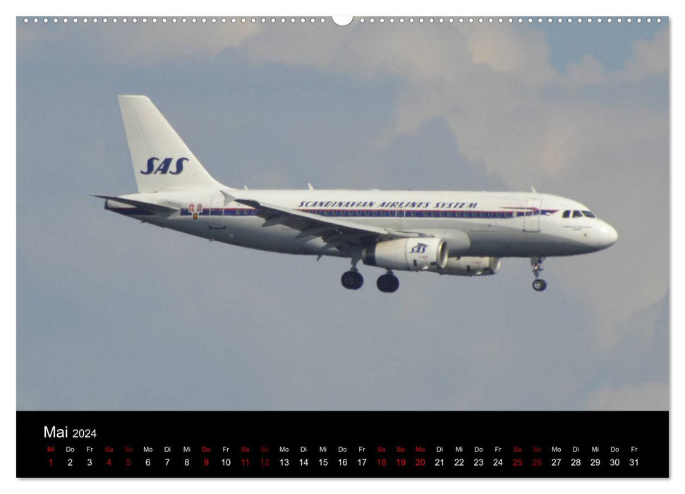 In their old glory: aircraft in retro livery (CALVENDO wall calendar 2024) 