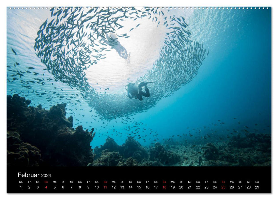 Danse du poisson (Calendrier mural CALVENDO 2024) 