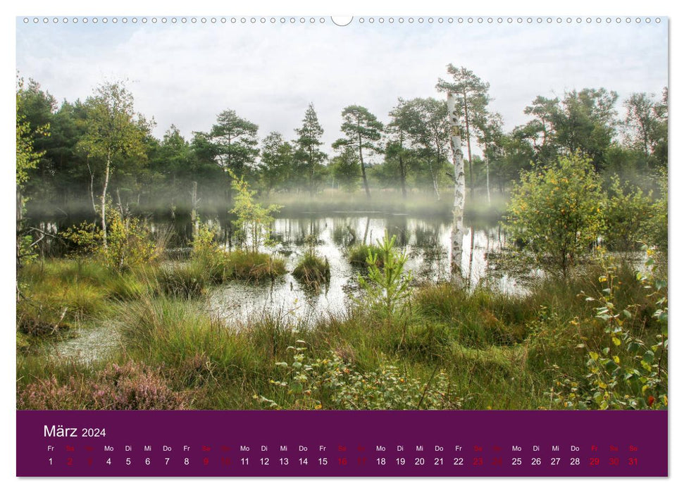 Die Heide blüht (CALVENDO Wandkalender 2024)