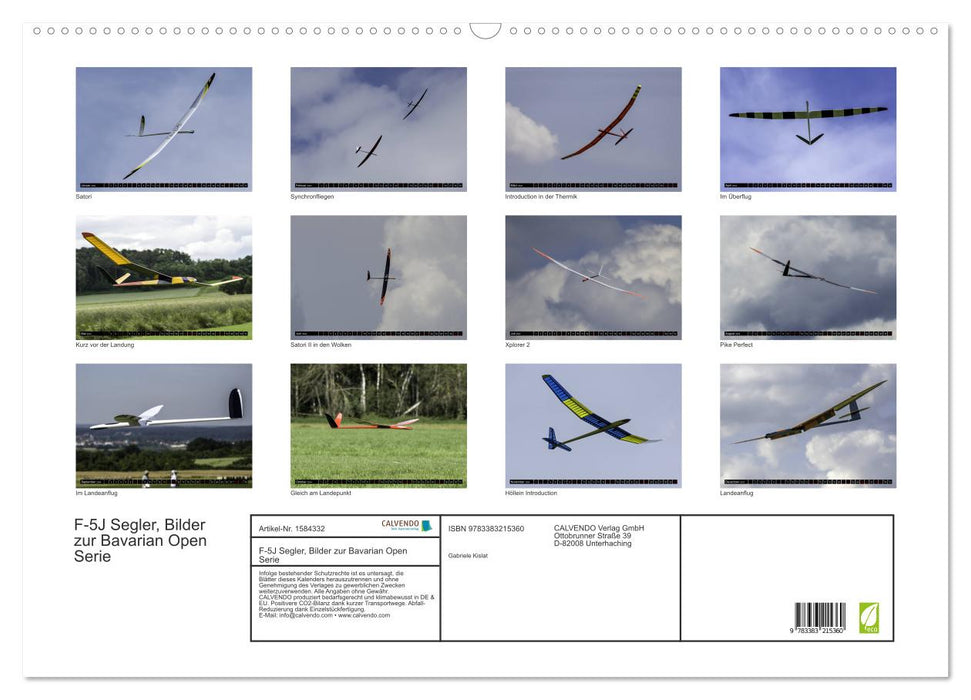 F-5J glider, pictures from the Bavarian Open series (CALVENDO wall calendar 2024) 