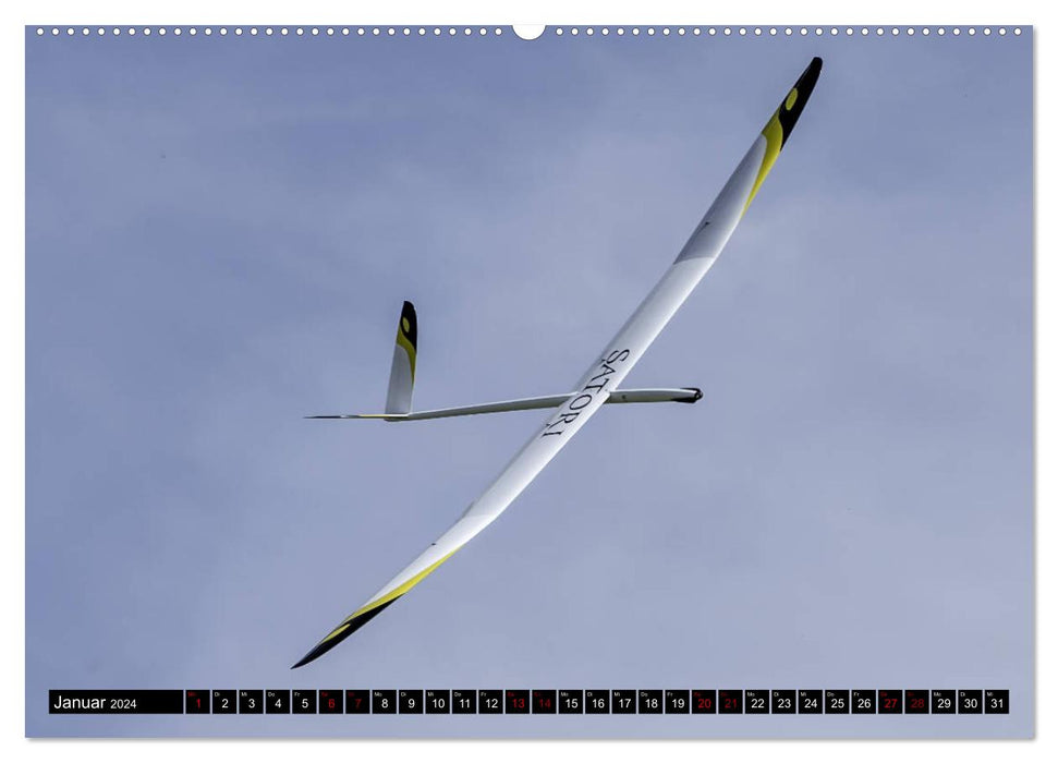 F-5J glider, pictures from the Bavarian Open series (CALVENDO wall calendar 2024) 