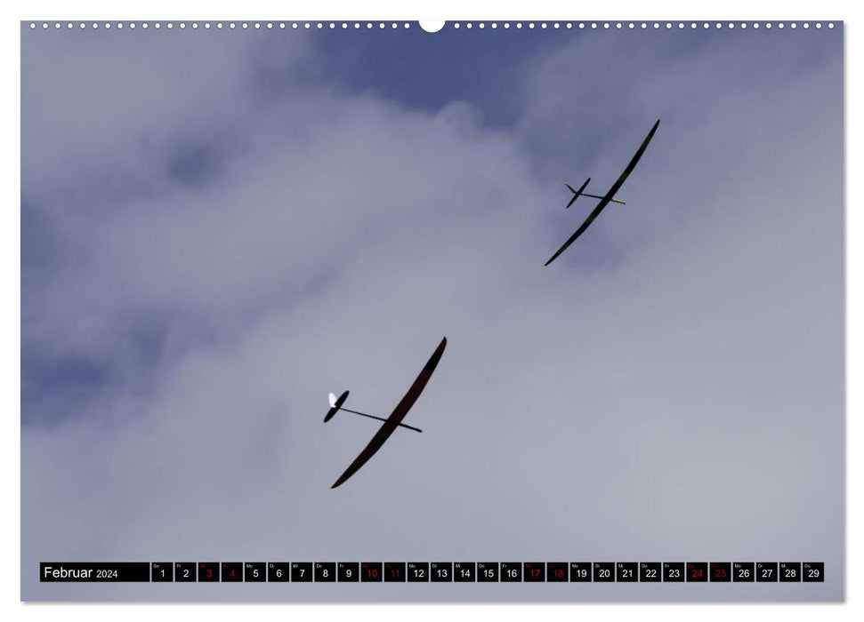 F-5J glider, pictures from the Bavarian Open series (CALVENDO wall calendar 2024) 