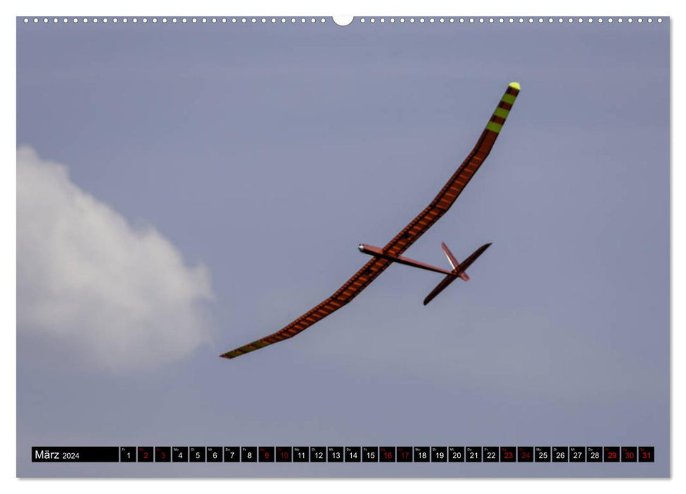 F-5J glider, pictures from the Bavarian Open series (CALVENDO wall calendar 2024) 