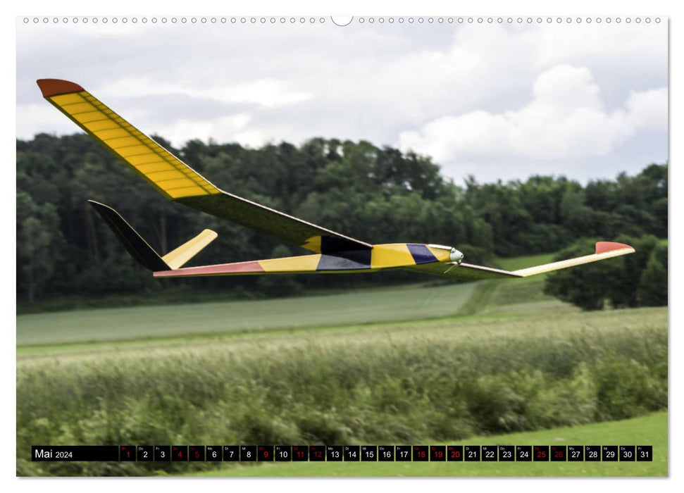 F-5J glider, pictures from the Bavarian Open series (CALVENDO wall calendar 2024) 