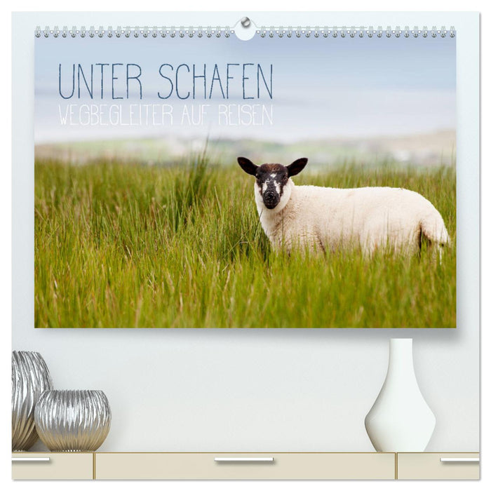 Unter Schafen - Wegbegleiter auf Reisen (CALVENDO Premium Wandkalender 2024)