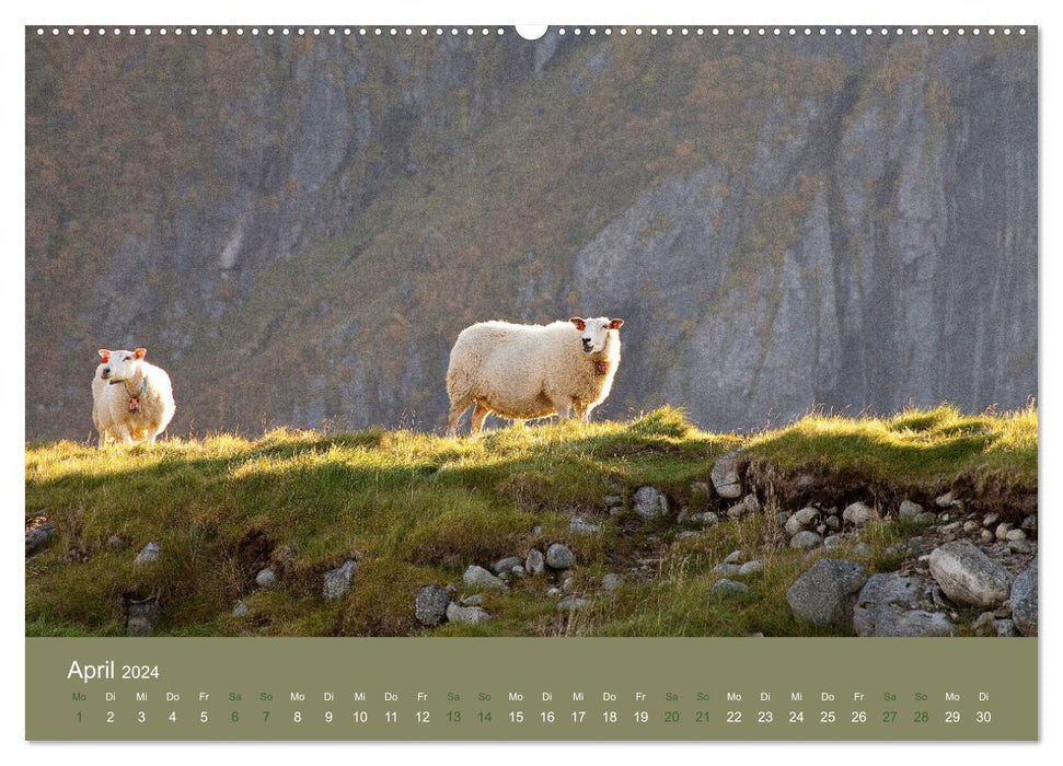 Unter Schafen - Wegbegleiter auf Reisen (CALVENDO Premium Wandkalender 2024)
