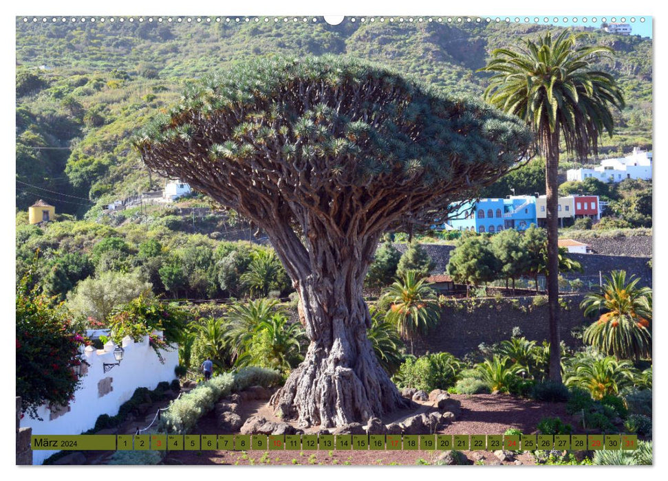 Plant world Canary Islands (CALVENDO wall calendar 2024) 