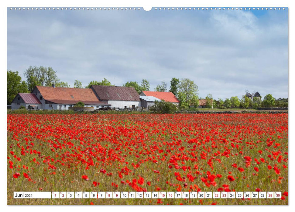 Gotland - île ensoleillée de la mer Baltique (calendrier mural CALVENDO 2024) 