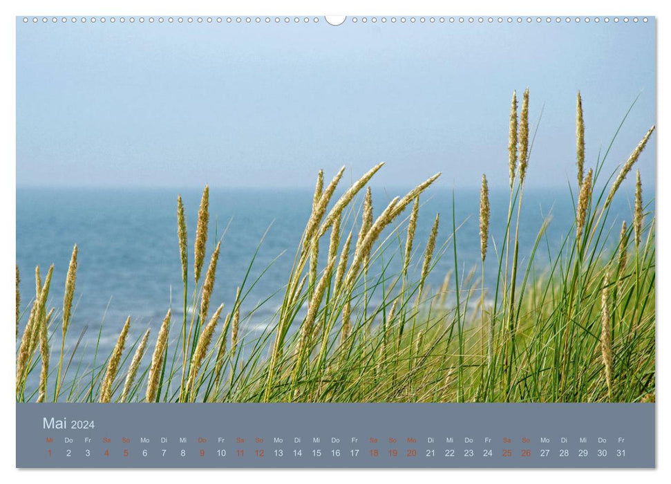 Journée à la mer (Calendrier mural CALVENDO 2024) 