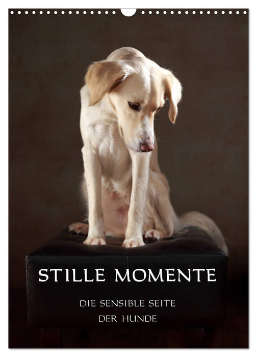 Moments silencieux - Le côté sensible des chiens (Calendrier mural CALVENDO 2024) 