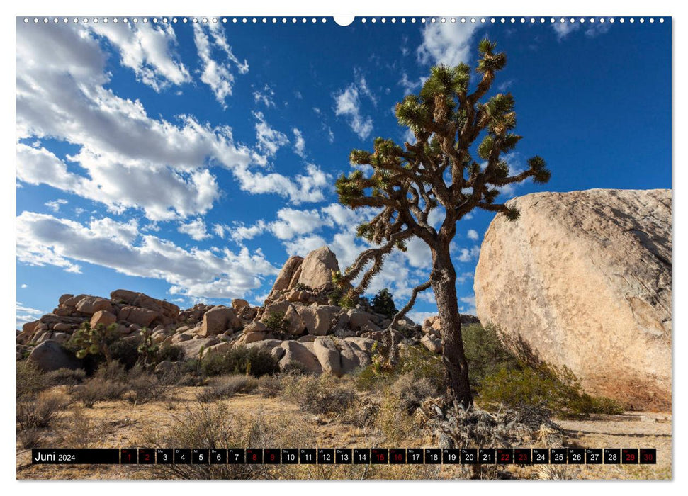 Fascination of the Wild West (CALVENDO wall calendar 2024) 