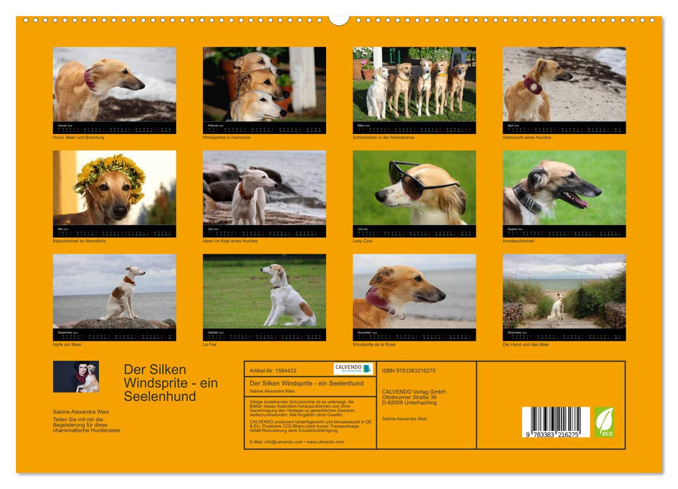 Le Silken Windsprite - un chien d'âme (Calvendo Premium Wall Calendar 2024) 