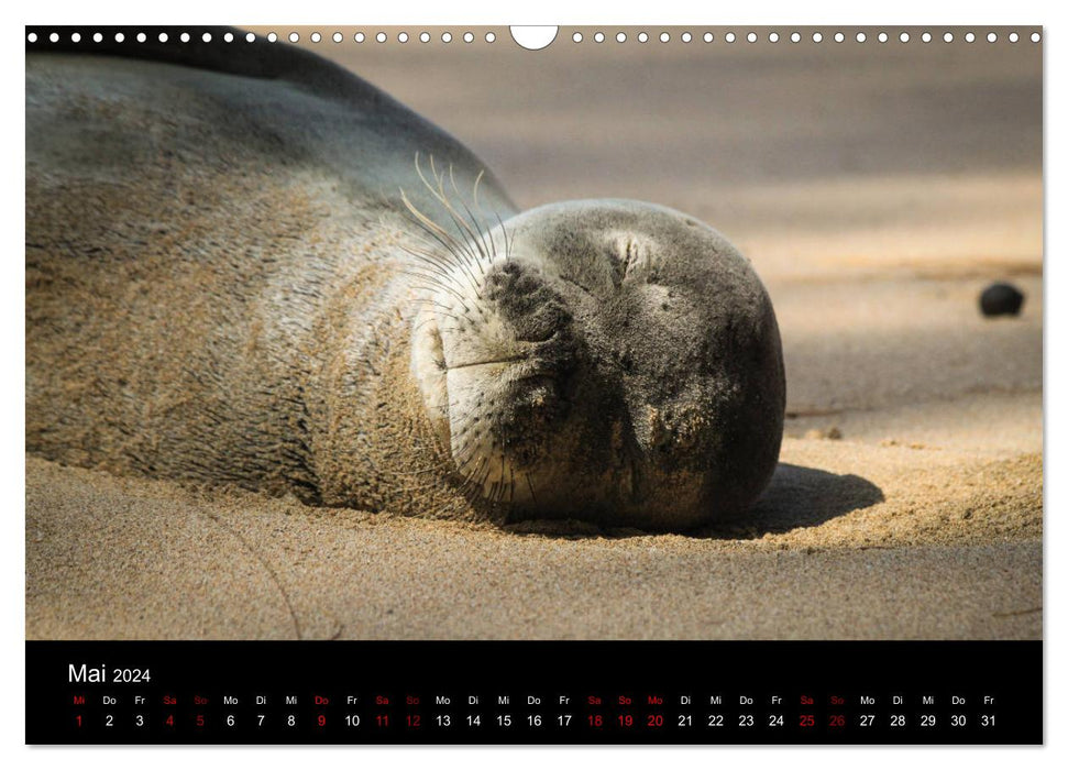 Kauai – L'île jardin (calendrier mural CALVENDO 2024) 