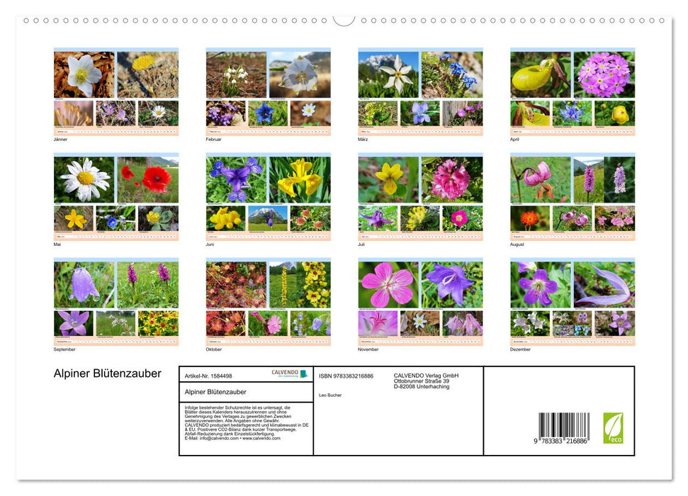 Alpiner Blütenzauber (CALVENDO Premium Wandkalender 2024)