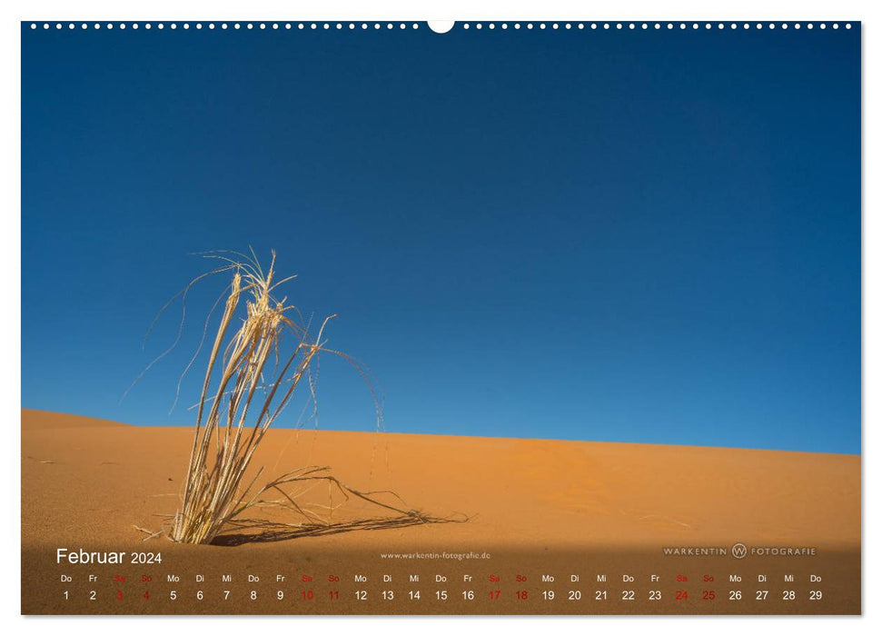 Sahara - terre de l'espace infini (calendrier mural CALVENDO 2024) 