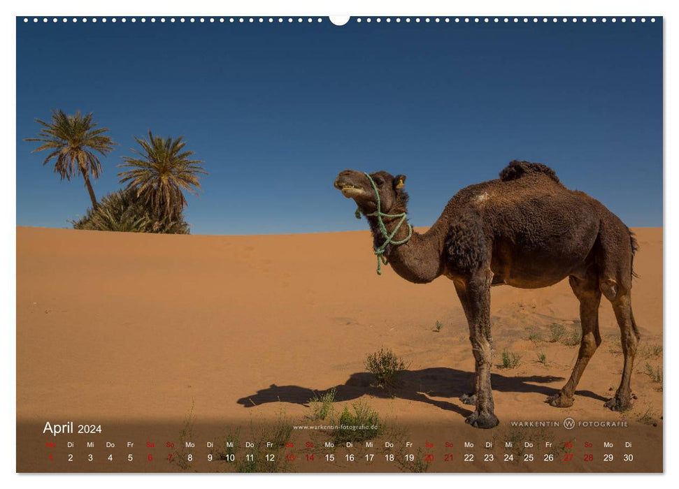 Sahara - Land der unendlichen Weite (CALVENDO Wandkalender 2024)
