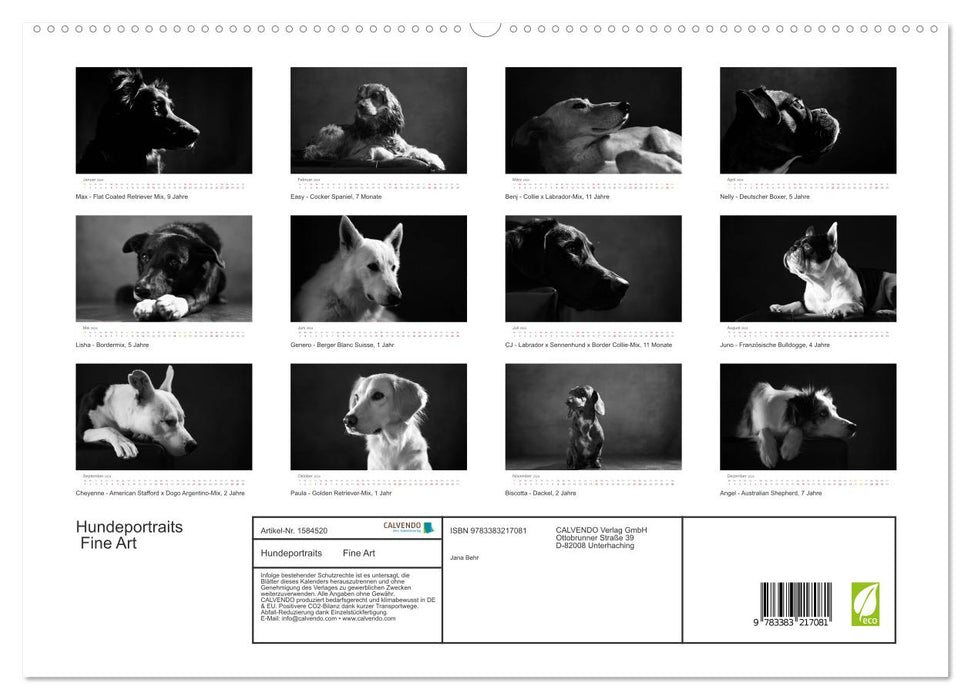 Hundeportraits Fine Art (CALVENDO Premium Wandkalender 2024)