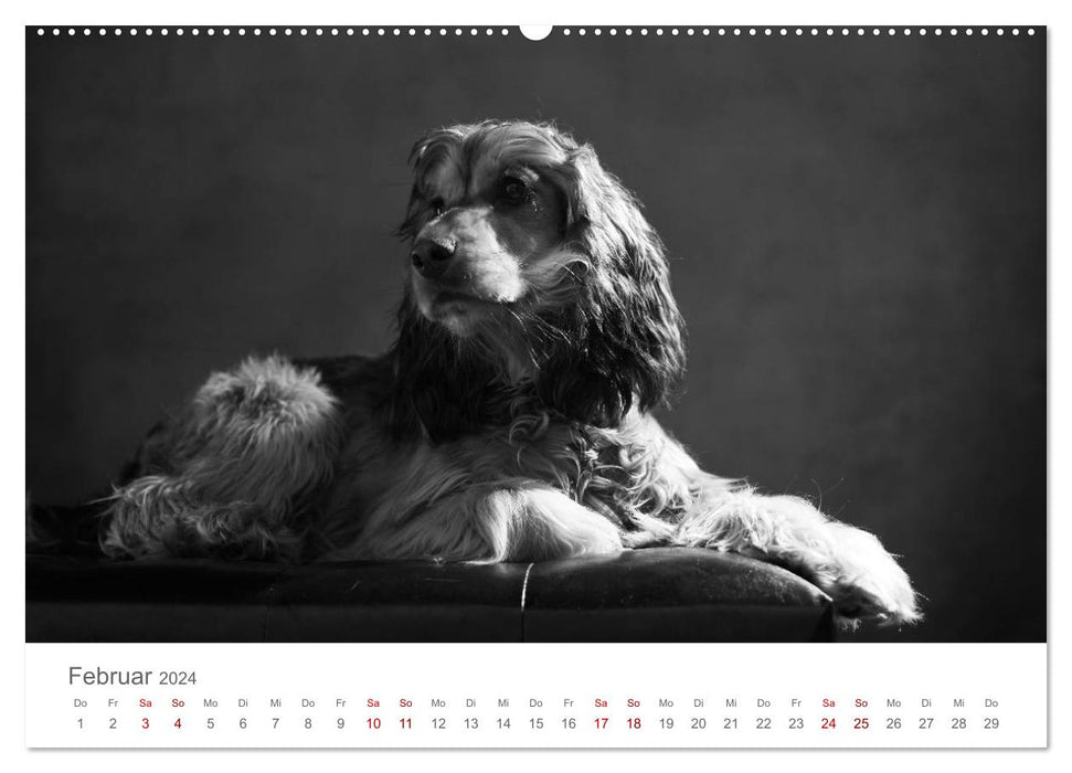 Hundeportraits Fine Art (CALVENDO Premium Wandkalender 2024)