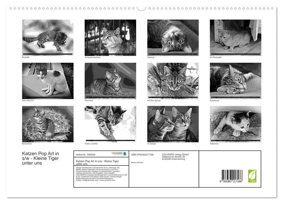 Katzen Pop Art in s/w - Kleine Tiger unter uns (CALVENDO Premium Wandkalender 2024)
