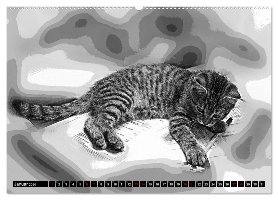 Katzen Pop Art in s/w - Kleine Tiger unter uns (CALVENDO Premium Wandkalender 2024)