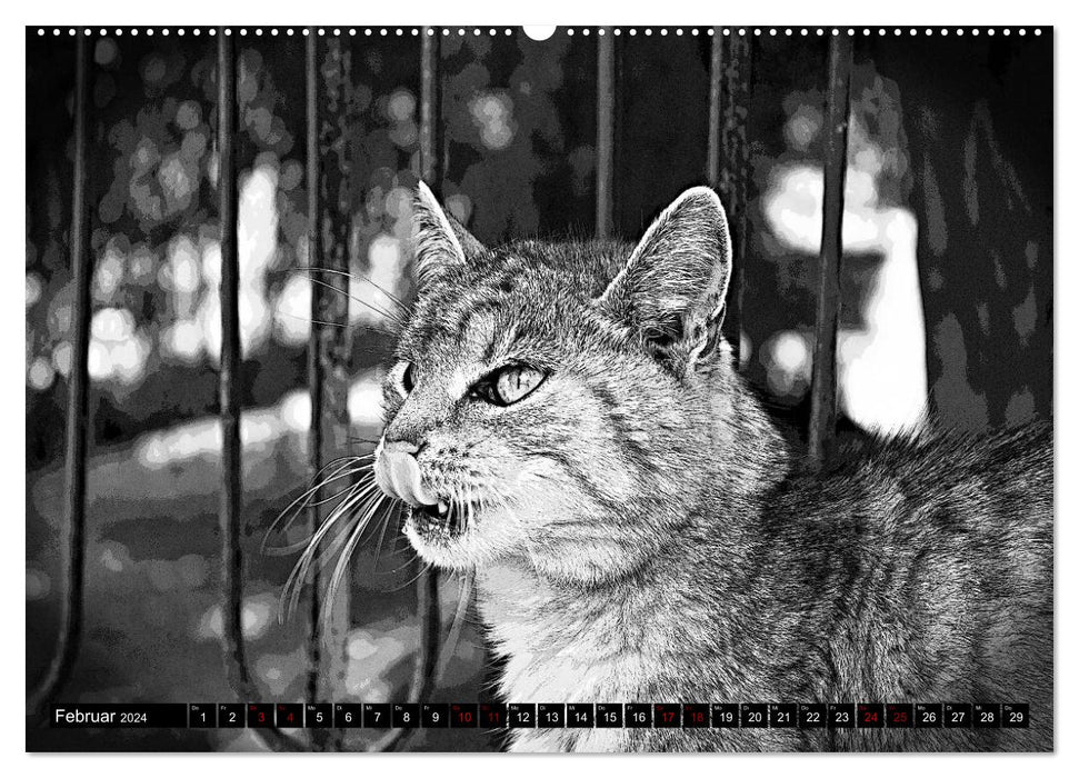 Cats Pop Art in b/w - Little Tigers Among Us (CALVENDO Premium Wall Calendar 2024) 