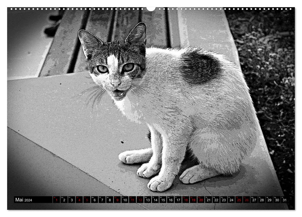 Cats Pop Art in b/w - Little Tigers Among Us (CALVENDO Premium Wall Calendar 2024) 