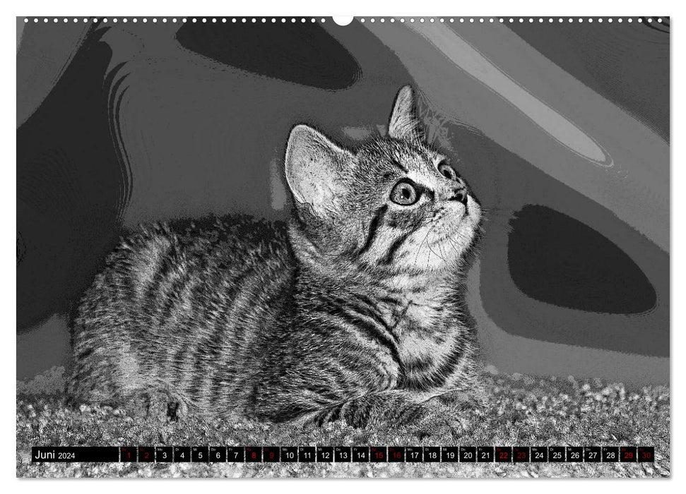 Katzen Pop Art in s/w - Kleine Tiger unter uns (CALVENDO Premium Wandkalender 2024)