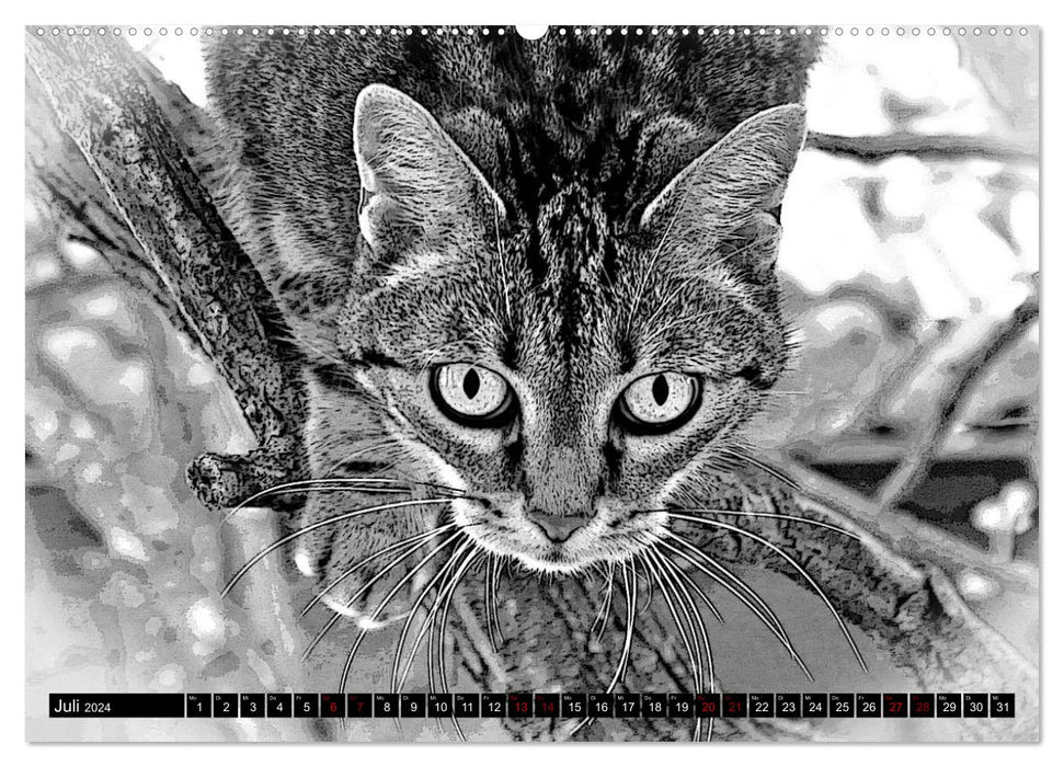 Cats Pop Art in b/w - Little Tigers Among Us (CALVENDO Premium Wall Calendar 2024) 