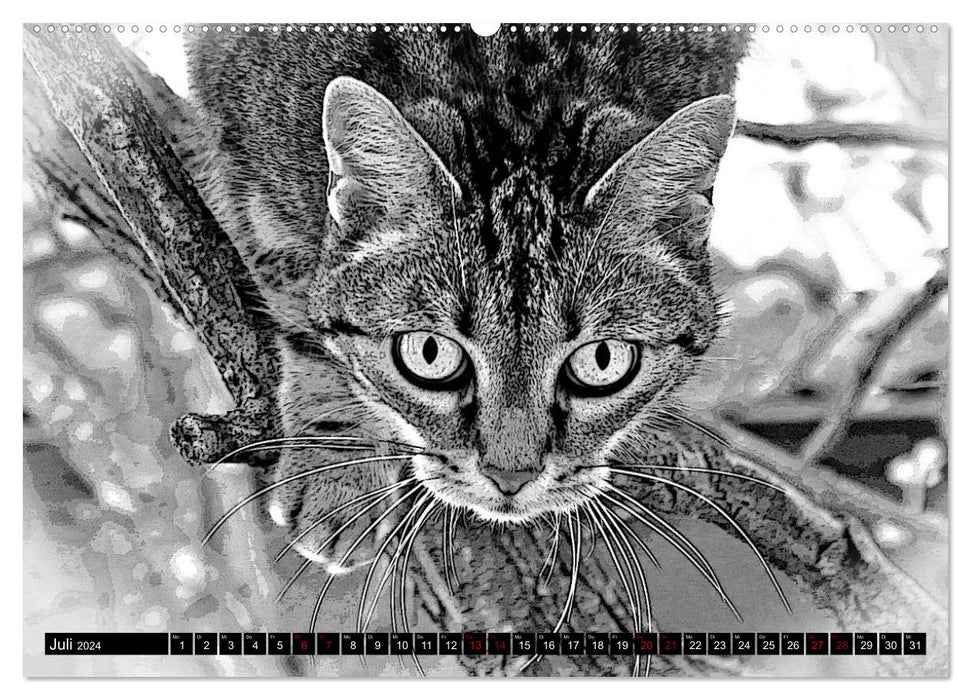 Katzen Pop Art in s/w - Kleine Tiger unter uns (CALVENDO Premium Wandkalender 2024)