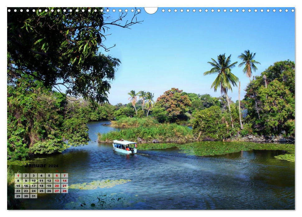 La faune et la flore fascinantes du Nicaragua (calendrier mural CALVENDO 2024) 