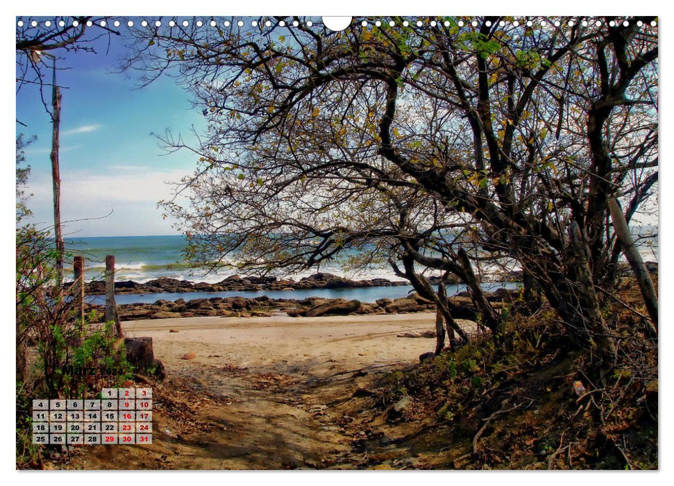 La faune et la flore fascinantes du Nicaragua (calendrier mural CALVENDO 2024) 