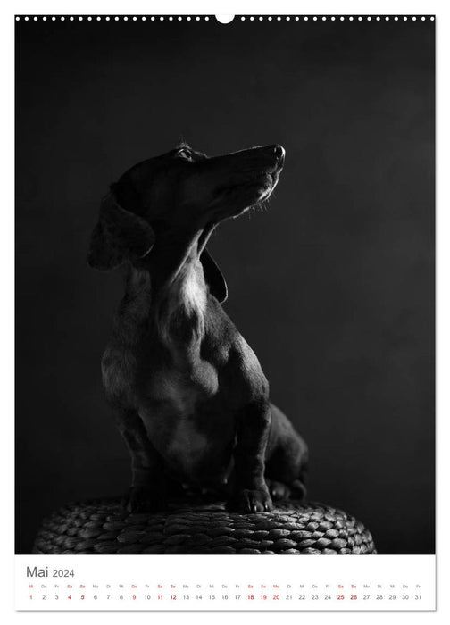 Portraits de chiens d'art (calendrier mural CALVENDO 2024) 