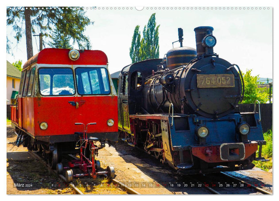 Waldbahnen in Rumänien - Die letzten Mocanitas (CALVENDO Premium Wandkalender 2024)