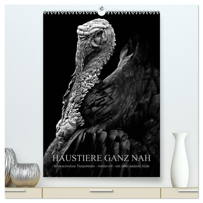 HAUSTIERE GANZ NAH (CALVENDO Premium Wandkalender 2024)