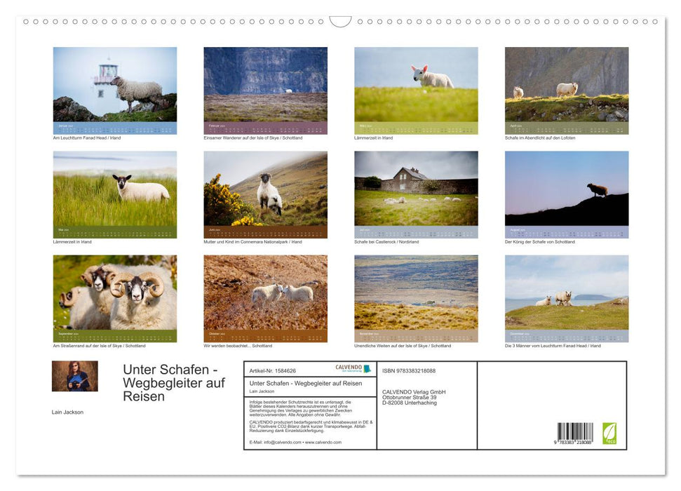 Among sheep - companions when traveling (CALVENDO wall calendar 2024) 