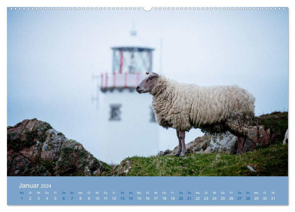 Parmi les moutons - compagnons de voyage (calendrier mural CALVENDO 2024) 