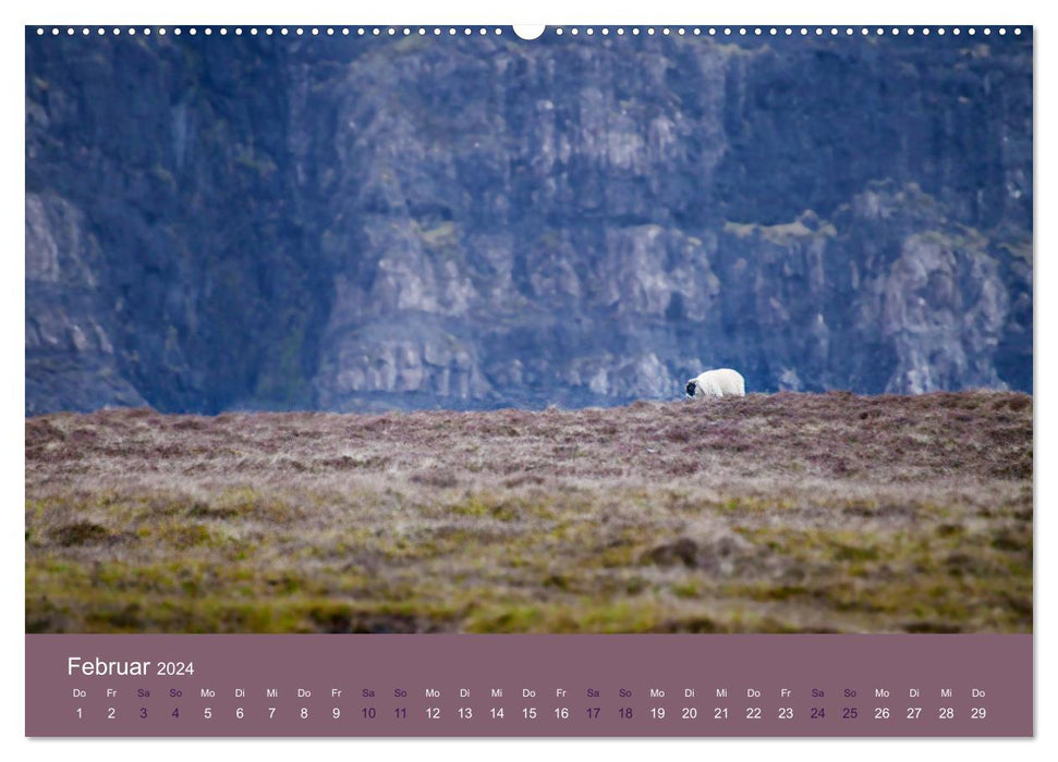 Among sheep - companions when traveling (CALVENDO wall calendar 2024) 