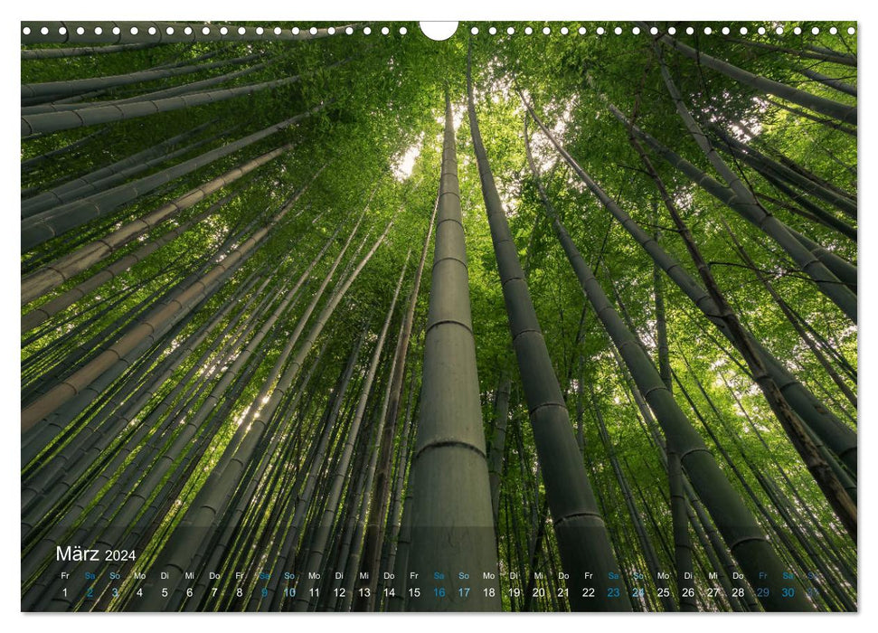 Japan - In the land of the rising sun (CALVENDO wall calendar 2024) 