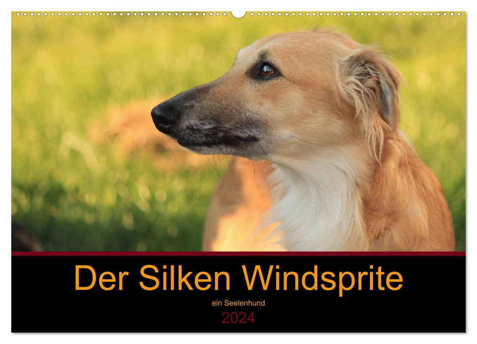Der Silken Windsprite - ein Seelenhund (CALVENDO Wandkalender 2024)