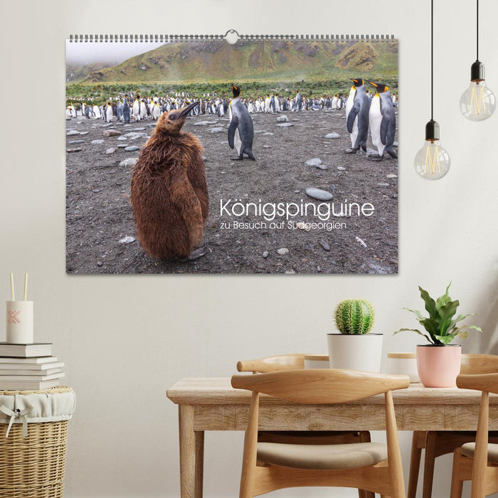 King penguins - visiting South Georgia (CALVENDO wall calendar 2024) 