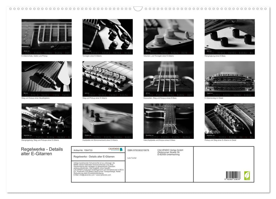 Regelwerke - Details alter E-Gitarren (CALVENDO Wandkalender 2024)