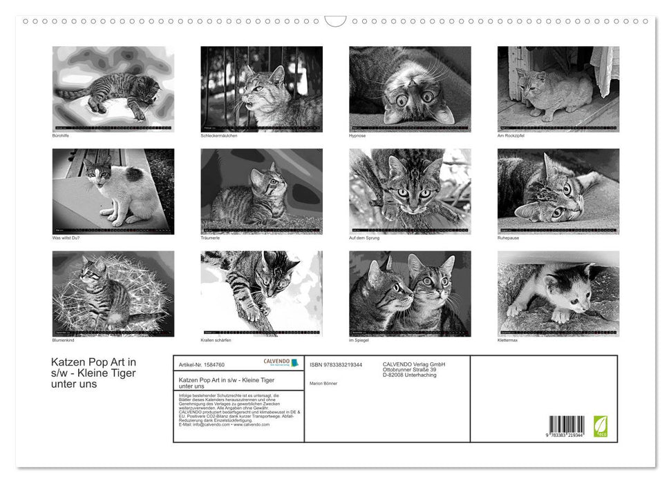 Cats Pop Art in b/w - Little Tigers Among Us (CALVENDO Wall Calendar 2024) 