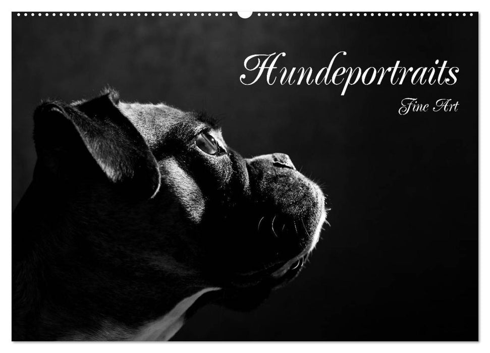 Dog Portraits Fine Art (CALVENDO Wall Calendar 2024) 