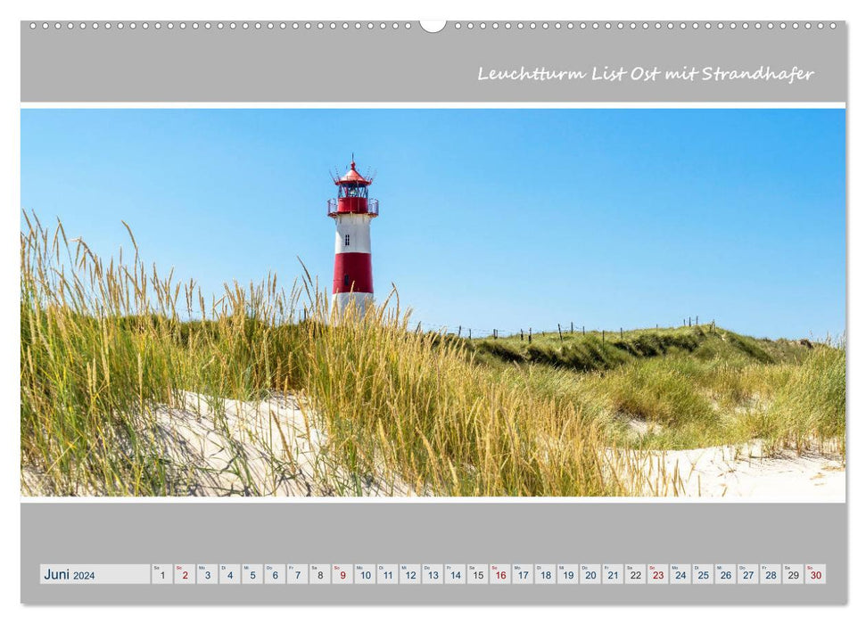 Panorama de l'île de SYLT (Calendrier mural CALVENDO Premium 2024) 