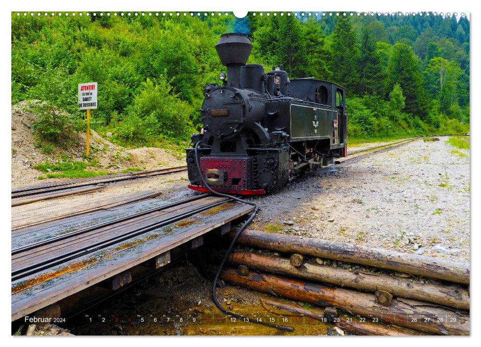Chemins de fer forestiers en Roumanie - Les dernières mocanitas (calendrier mural CALVENDO 2024) 