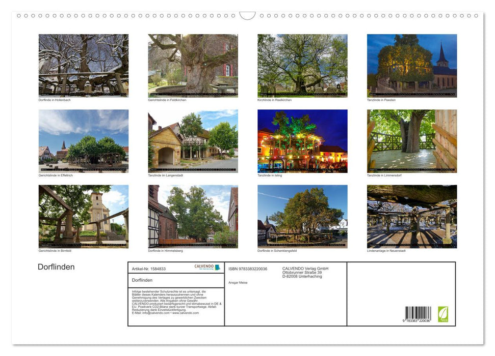 Village linden trees (CALVENDO wall calendar 2024) 