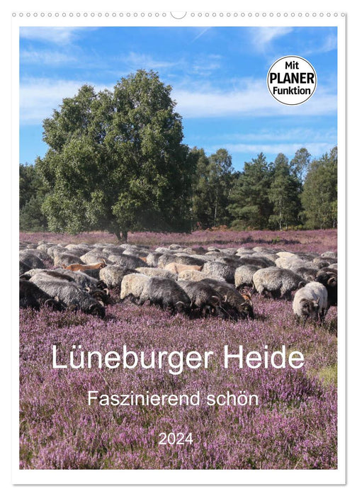 Lüneburger Heide - Faszinierend schön (CALVENDO Wandkalender 2024)